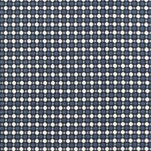 Thibaut Maximilian W735351 Color Blue and White Fabric large piece 45" l x 54" w